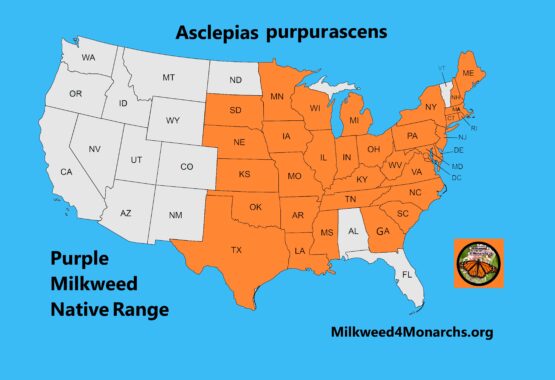Purple Milkweed's Native Range Map
