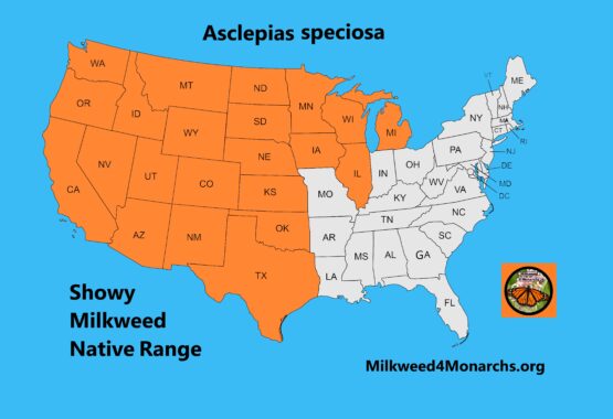Showy Milkweed Native Range Map