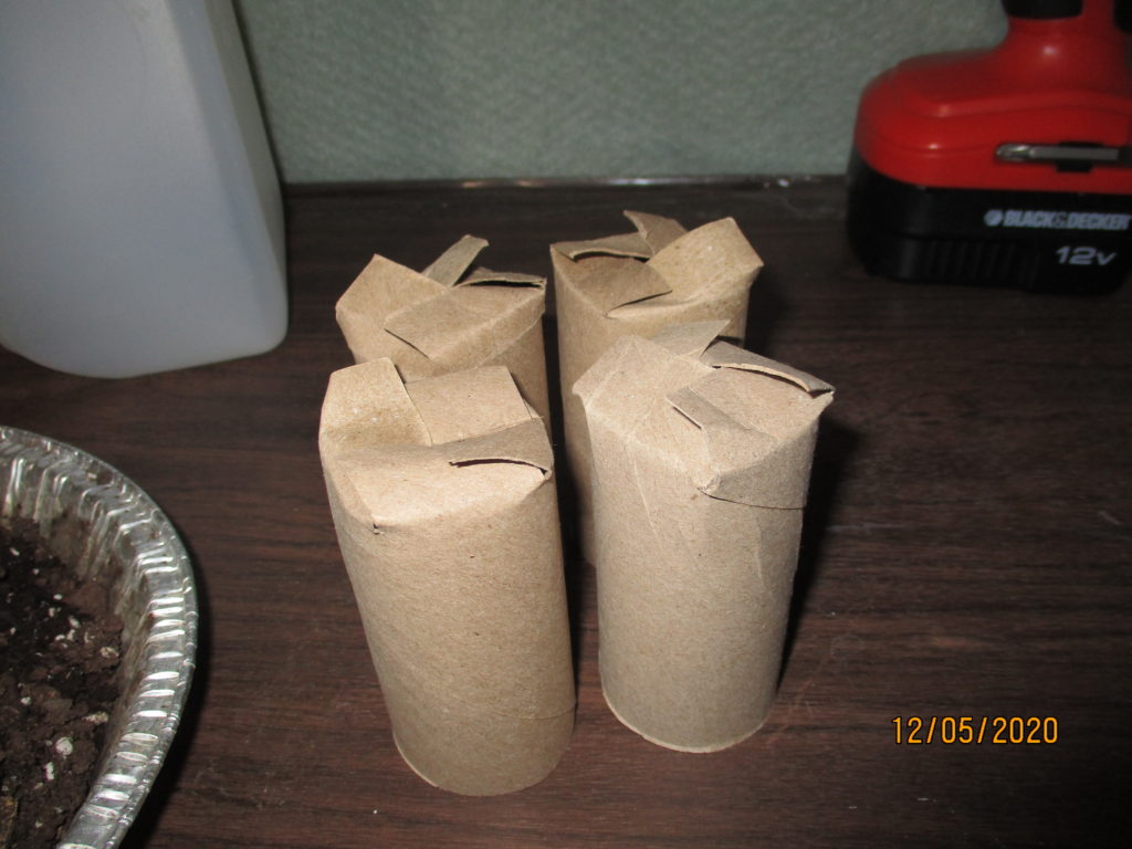 4 toilet paper tube pots