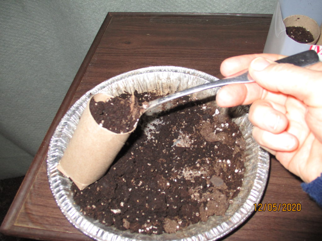 Filling Toilet Paper tube with soil