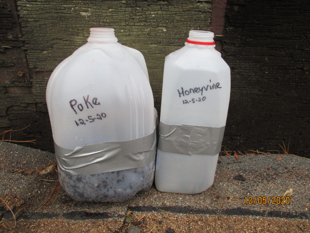 2 Milk Jug Greenhouses