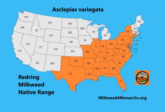 Redring Milkweed Native Range Map