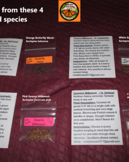 4 species of milkweed