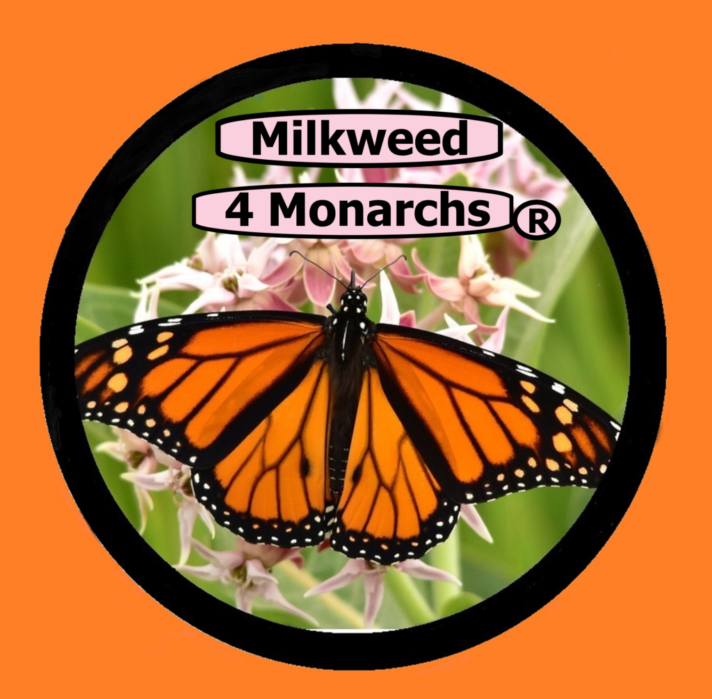 Milkweed 4 Monarchs Logo