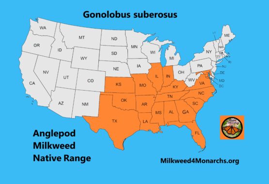 Anglepod Milkvine native range map