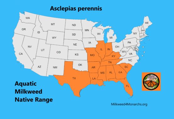 Aquatic Milkweed native range map