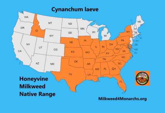 Honeyvine Milkweed Native Range Map