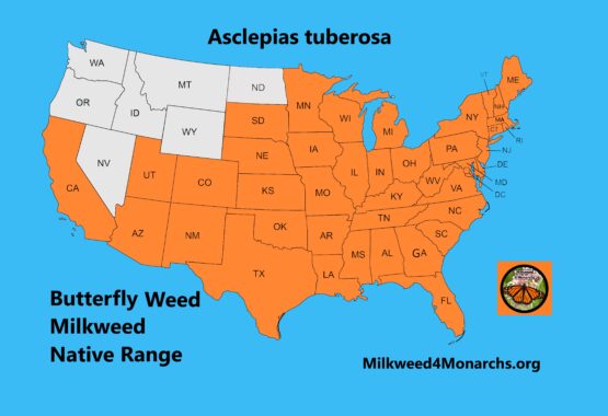 Butterfly Weed Native Range Map