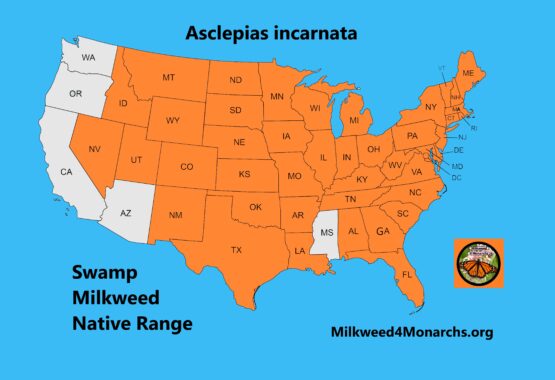 Swamp Milkweed Native Range Map